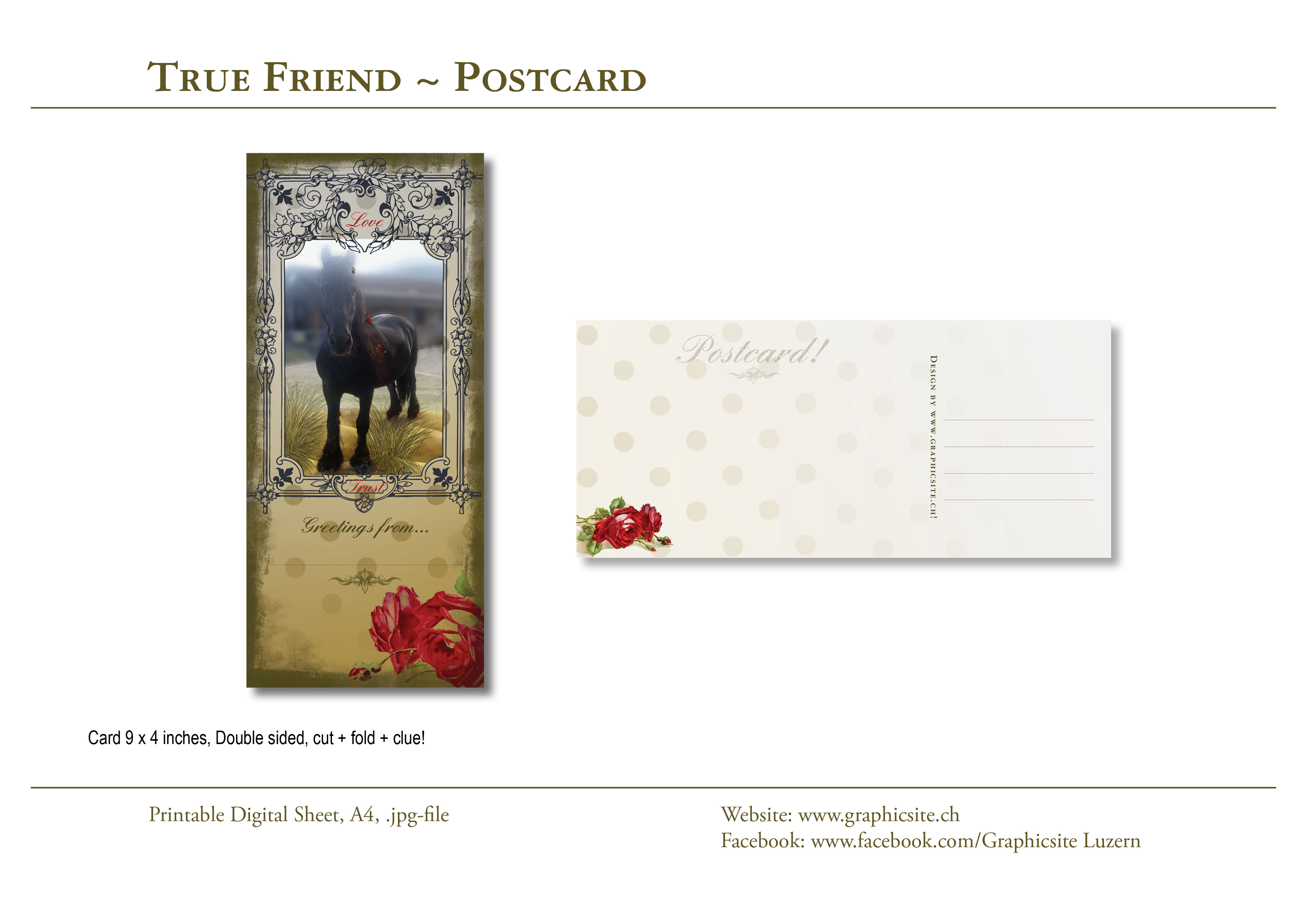 Karten selber drucken - Postkarte 9x4 - TrueFriend